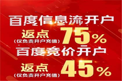 电商平台的关键词竞价排名：销售增长的秘诀